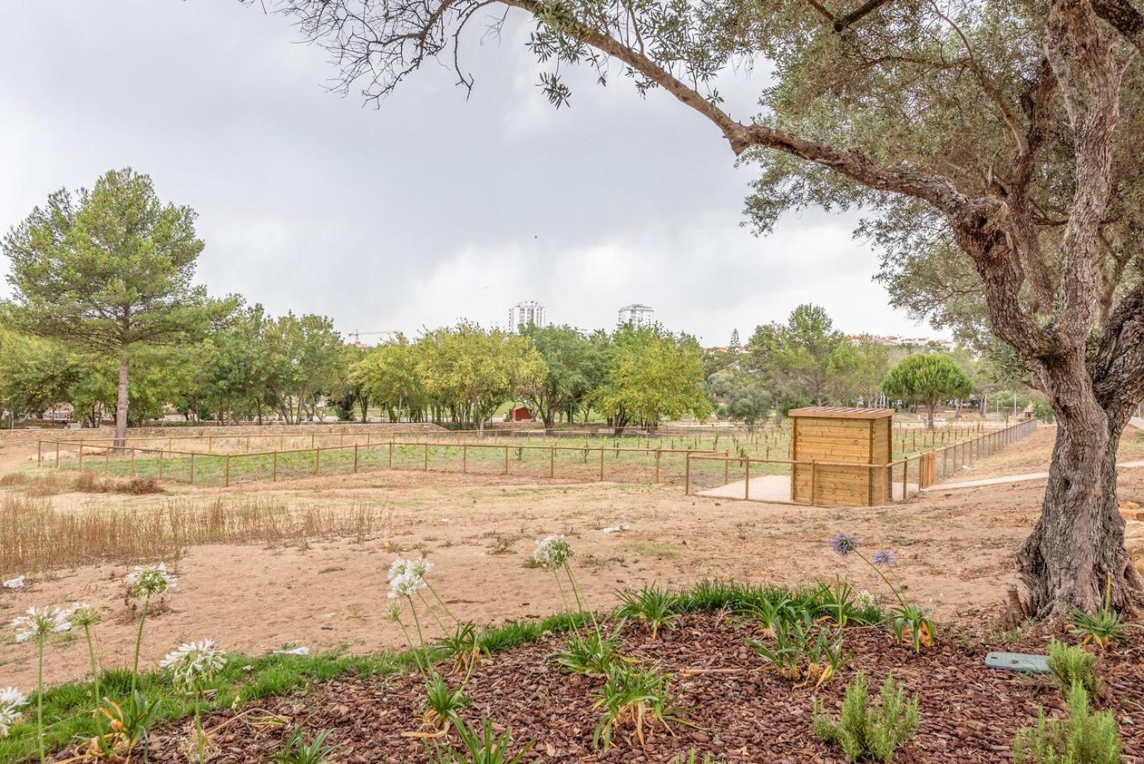 Guestready - Peaceful 1 Bedroom Abode In Estoril Luaran gambar